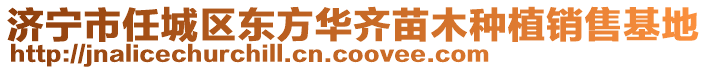 济宁市任城区东方华齐苗木种植销售基地