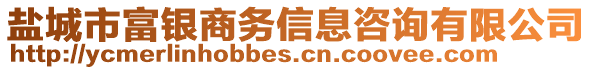 鹽城市富銀商務(wù)信息咨詢(xún)有限公司