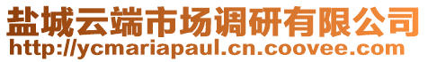 鹽城云端市場(chǎng)調(diào)研有限公司