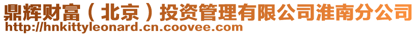 鼎輝財(cái)富（北京）投資管理有限公司淮南分公司