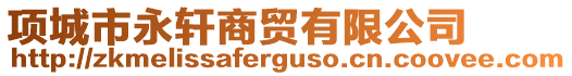 項城市永軒商貿有限公司
