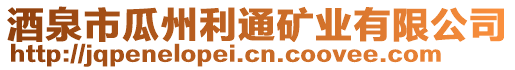 酒泉市瓜州利通礦業有限公司