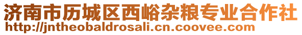 濟南市歷城區(qū)西峪雜糧專業(yè)合作社