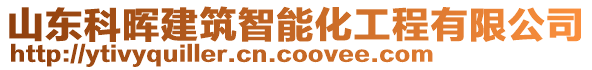 山東科暉建筑智能化工程有限公司