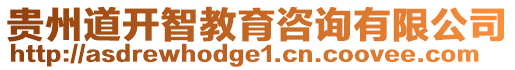貴州道開智教育咨詢有限公司