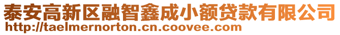 泰安高新區(qū)融智鑫成小額貸款有限公司