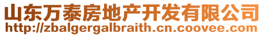 山東萬(wàn)泰房地產(chǎn)開(kāi)發(fā)有限公司