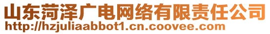 山東菏澤廣電網(wǎng)絡(luò)有限責(zé)任公司