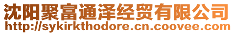 沈陽(yáng)聚富通澤經(jīng)貿(mào)有限公司