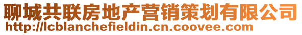 聊城共聯(lián)房地產(chǎn)營銷策劃有限公司