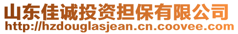 山東佳誠投資擔保有限公司