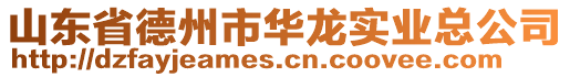 山东省德州市华龙实业总公司