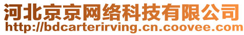 河北京京網絡科技有限公司