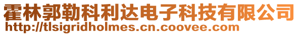 霍林郭勒科利達(dá)電子科技有限公司