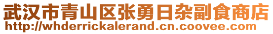 武漢市青山區(qū)張勇日雜副食商店