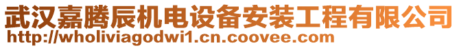 武漢嘉騰辰機電設(shè)備安裝工程有限公司