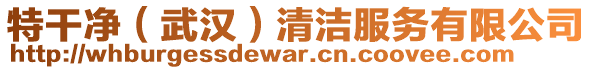 特干凈(武漢)清潔服務有限公司