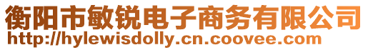 衡陽市敏銳電子商務有限公司