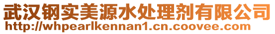 武漢鋼實美源水處理劑有限公司