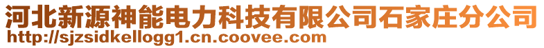 河北新源神能電力科技有限公司石家莊分公司
