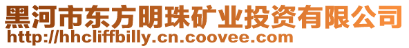 黑河市東方明珠礦業(yè)投資有限公司