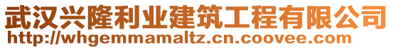 武漢興隆利業(yè)建筑工程有限公司