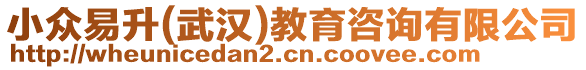 小眾易升(武漢)教育咨詢有限公司