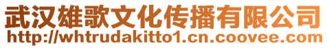 武漢雄歌文化傳播有限公司
