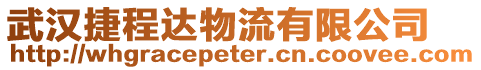 武漢捷程達物流有限公司
