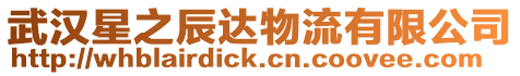 武漢星之辰達(dá)物流有限公司