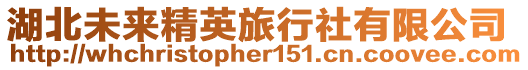 湖北未來精英旅行社有限公司