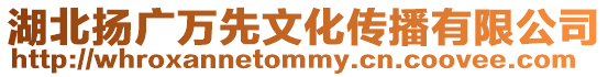 湖北揚廣萬先文化傳播有限公司
