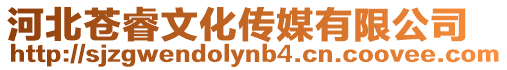 河北蒼睿文化傳媒有限公司