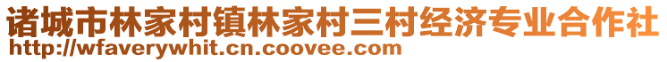 諸城市林家村鎮林家村三村經濟專業合作社