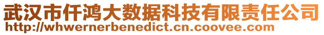 武漢市仟鴻大數(shù)據(jù)科技有限責(zé)任公司