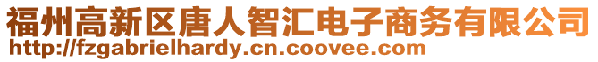 福州高新區唐人智匯電子商務有限公司
