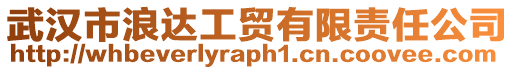 武漢市浪達(dá)工貿(mào)有限責(zé)任公司