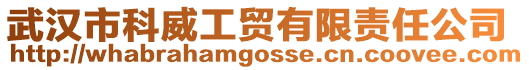武漢市科威工貿有限責任公司
