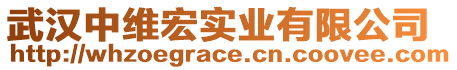 武漢中維宏實業有限公司