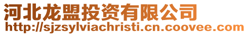 河北龍盟投資有限公司