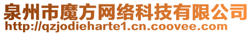泉州市魔方網絡科技有限公司