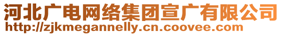 河北廣電網(wǎng)絡(luò)集團宣廣有限公司