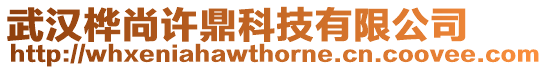 武漢樺尚許鼎科技有限公司