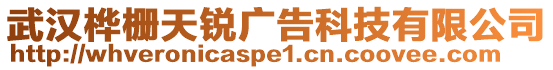 武漢樺柵天銳廣告科技有限公司