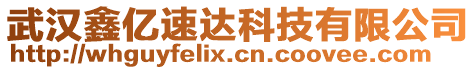 武漢鑫億速達科技有限公司