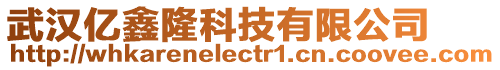 武漢億鑫隆科技有限公司