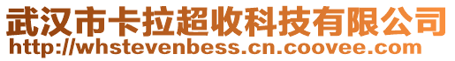 武漢市卡拉超收科技有限公司