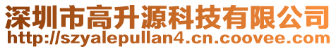深圳市高升源科技有限公司