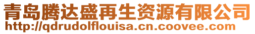 青島騰達(dá)盛再生資源有限公司