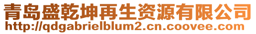 青島盛乾坤再生資源有限公司